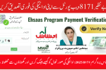 Ehsaas Program 8171 2025: How to Check Payment Status & Stay Safe from Scams