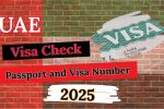 UAE Visa Check