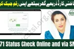 BISP.gov.pk 8171 Status Check Online