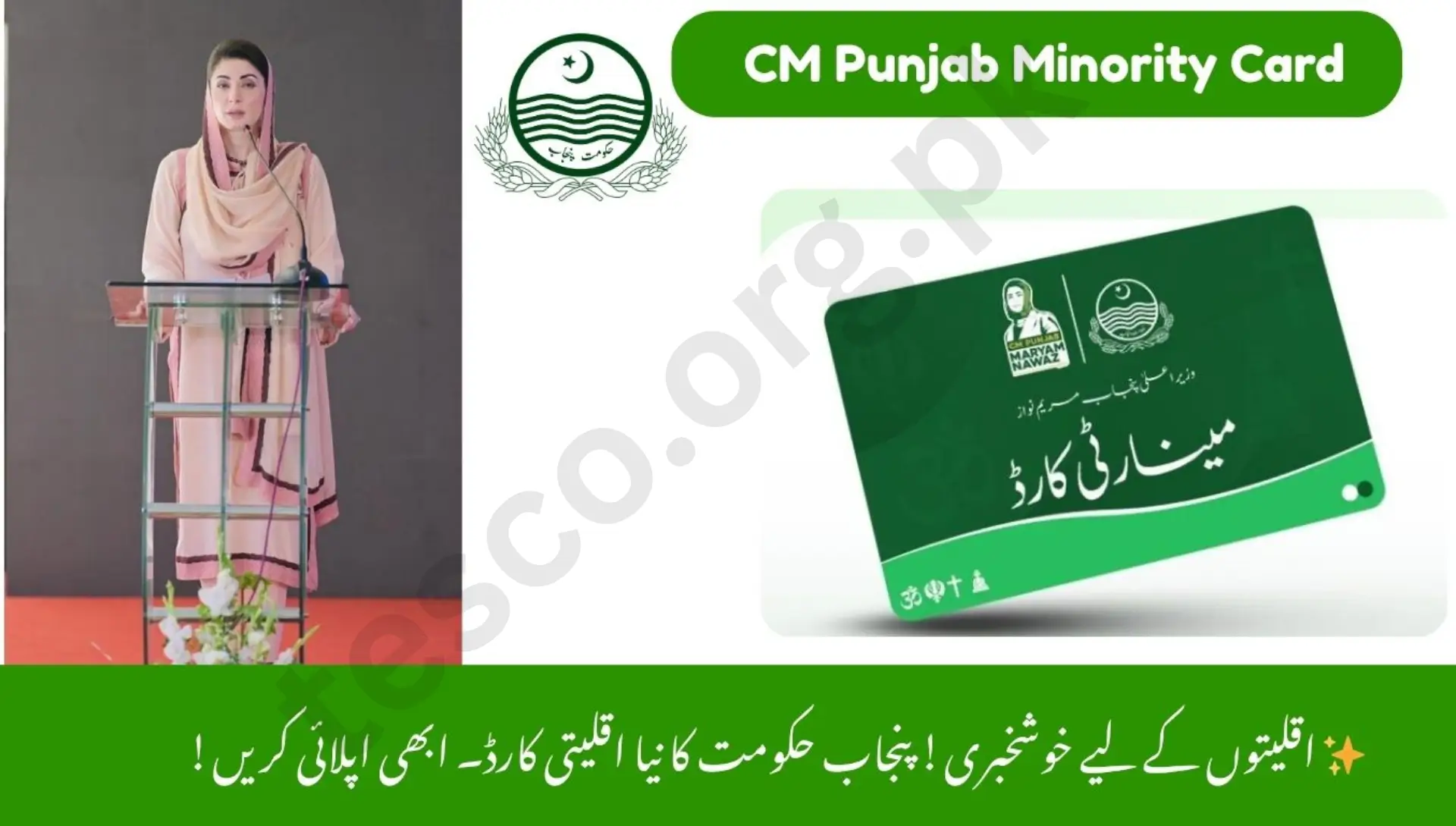 CM Punjab Minority Card