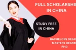 Study In China For Free