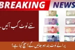 New Currency Notes in Pakistan