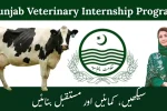 Punjab Veterinary Internship Program 2026 – Rs. 60,000 Monthly Stipend